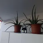 1 En Piso Compartido Con Acceso Zonas Comunes 营地
