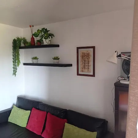 1 En Piso Compartido Con Acceso Zonas Comunes *