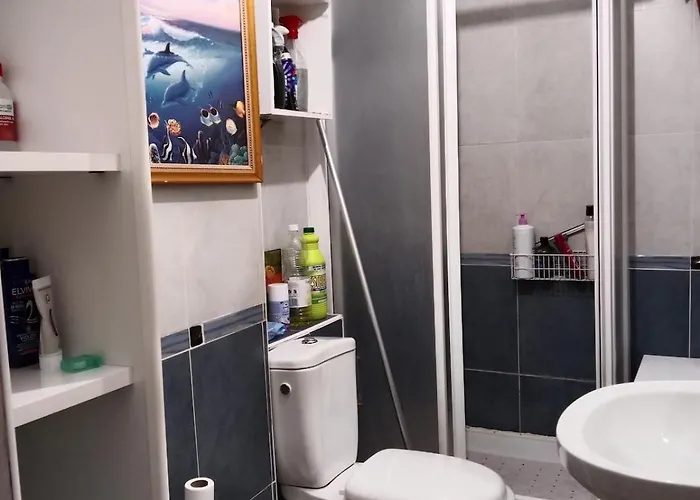 1 En Piso Compartido Con Acceso Zonas Comunes