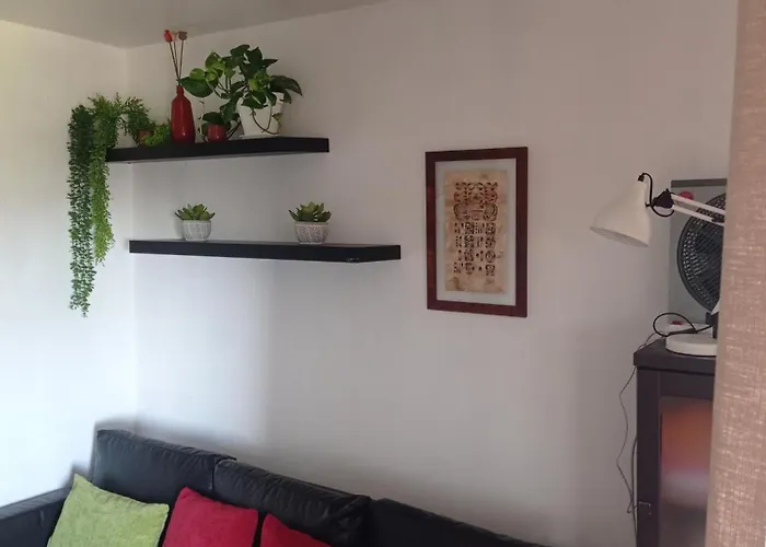1 En Piso Compartido Con Acceso Zonas Comunes *