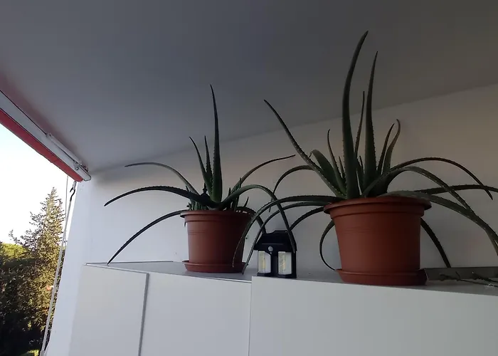 1 En Piso Compartido Con Acceso Zonas Comunes Кемпинг