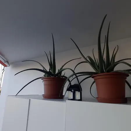 1 En Piso Compartido Con Acceso Zonas Comunes Kamp alanı